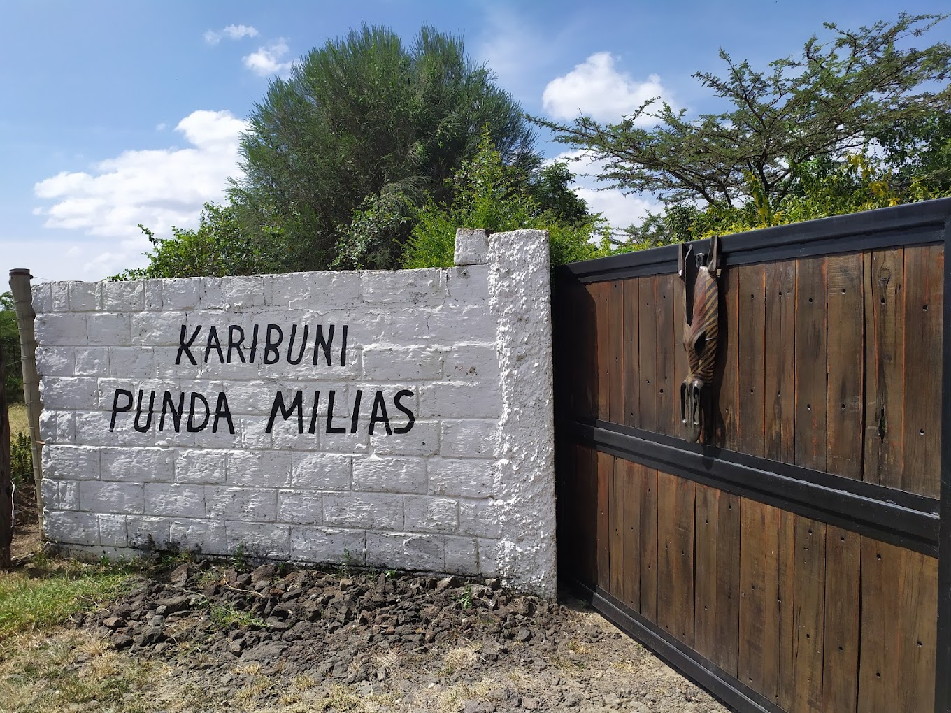 Punda Milias Nakuru Camp in Mbaruk, Kenya